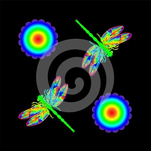Floral pattern dragonfly rainbow vector illustration